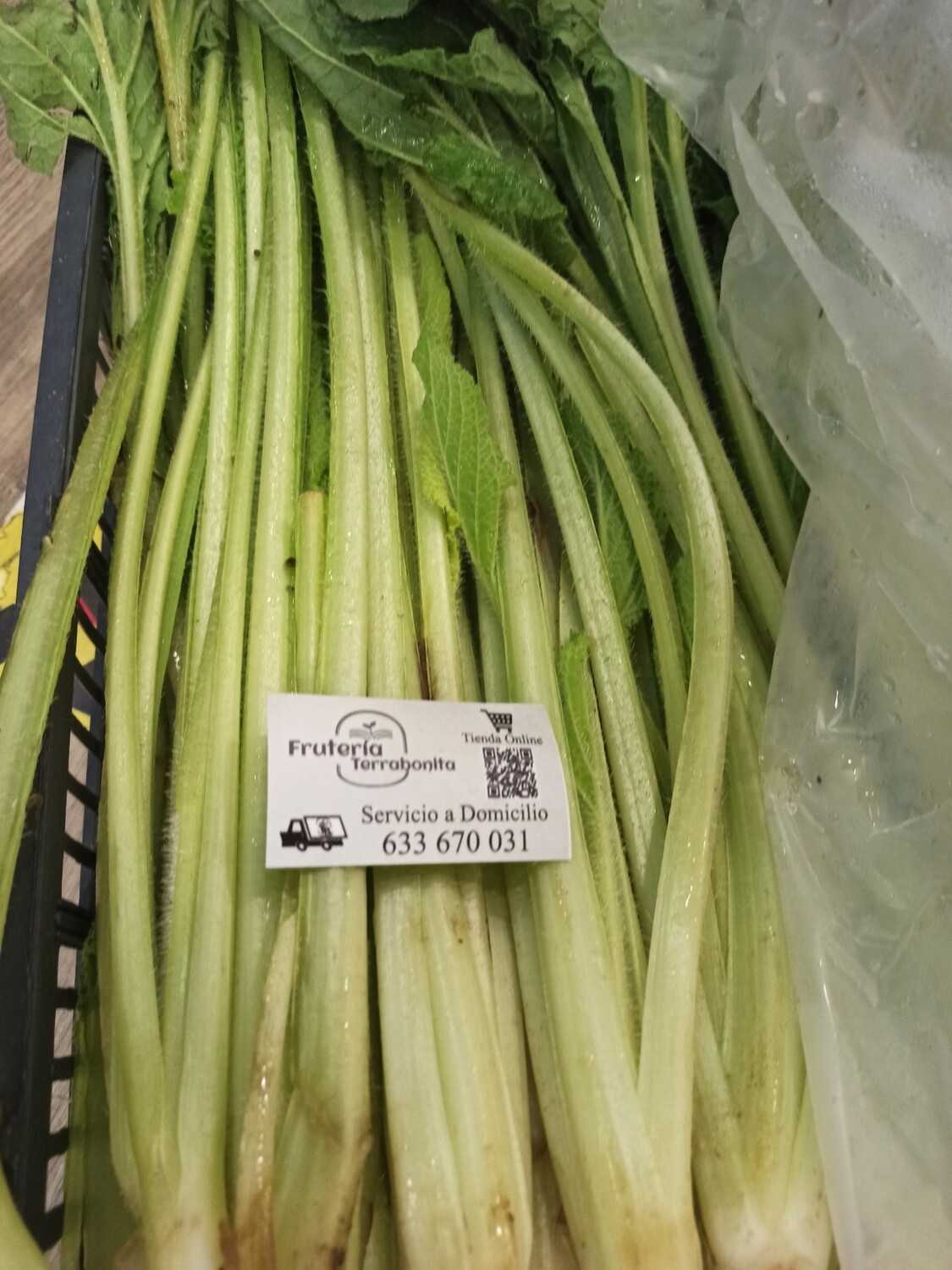 borraja
