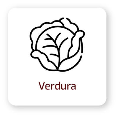 verdura terrabonita