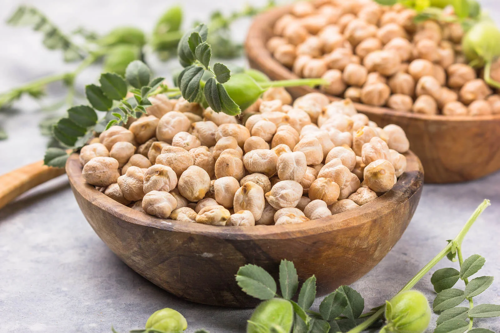 garbanzos terrabonita